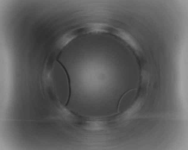 X0000114410785200910231131