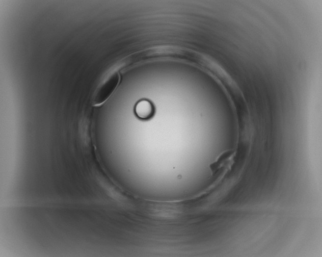 X0000114410786200910231131
