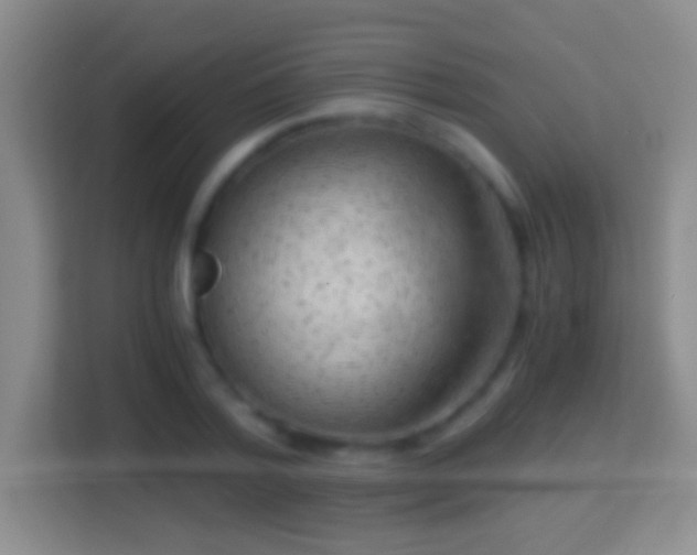 X0000114410788200910231131