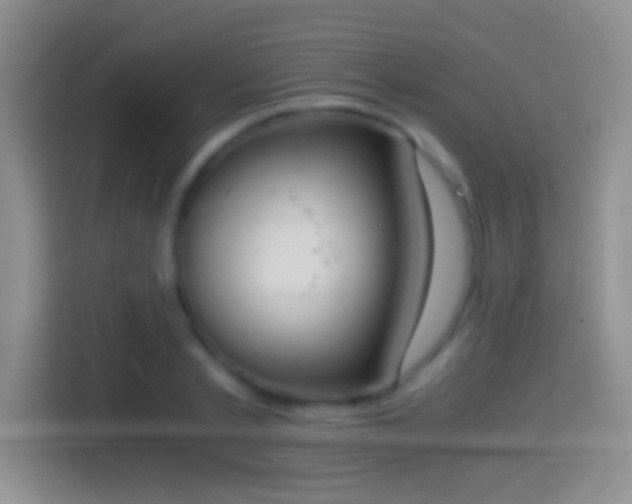 X0000114410789200910231131