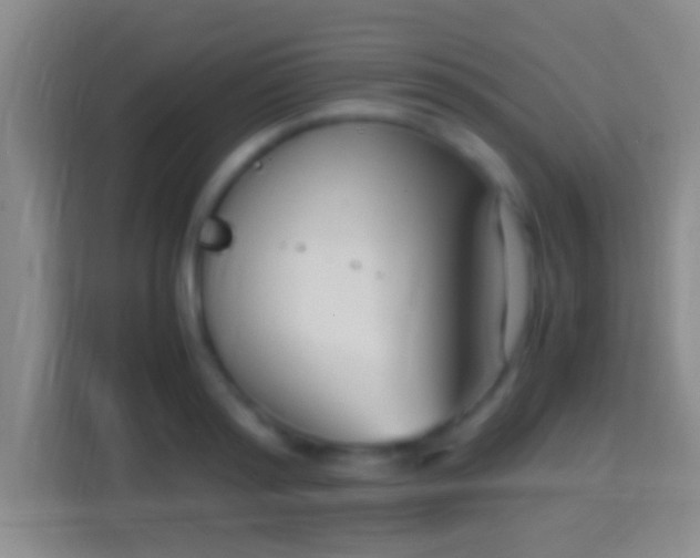 X0000114410796200910231131