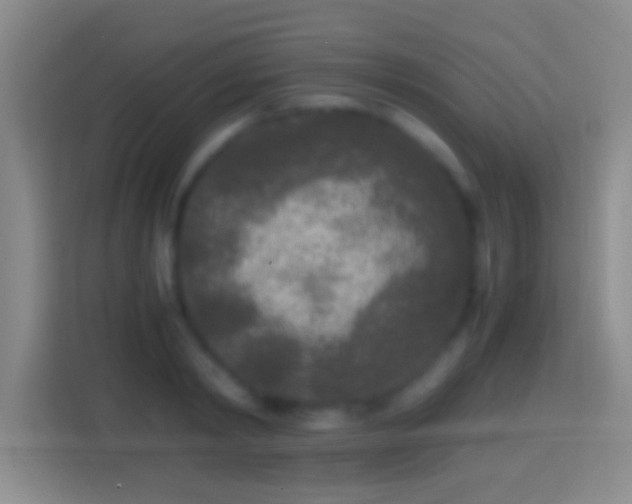 X0000114410798200910231131
