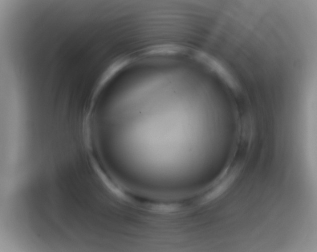 X0000114410802200910231131