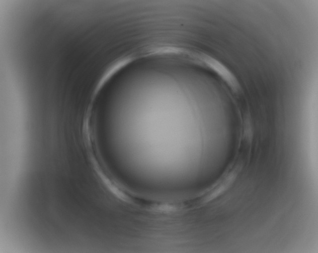 X0000114410806200910231131