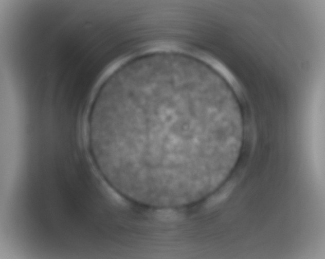X0000114410807200910231131