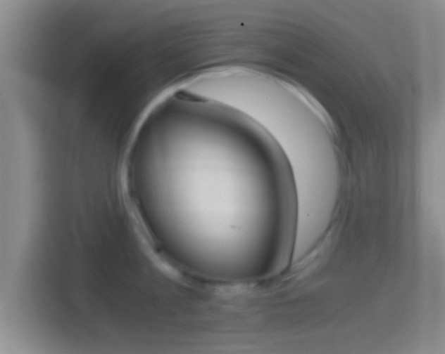 X0000114410813200910231131