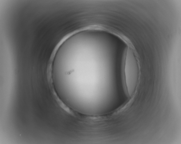 X0000114410816200910231131
