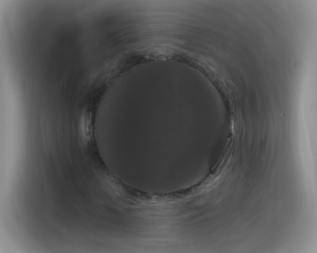 X0000114410818200910231130