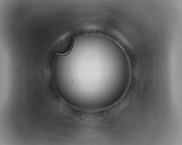 X0000114410821200910231130