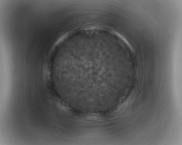 X0000114410823200910231130