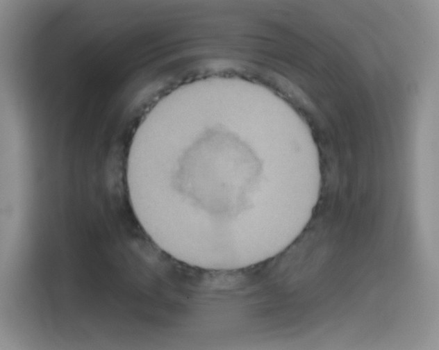 X0000114410824200910231130