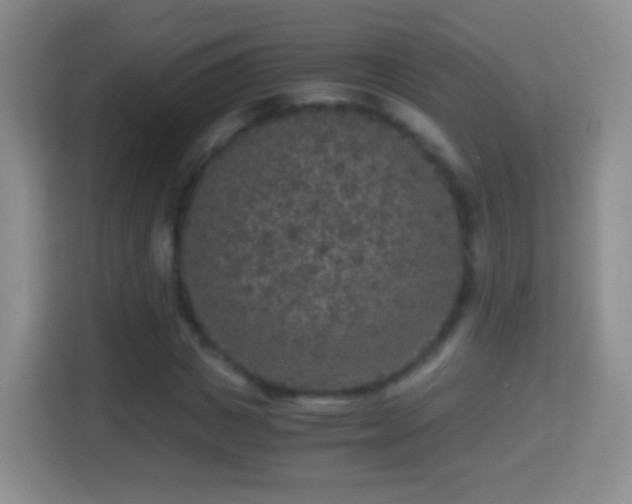 X0000114410825200910231130