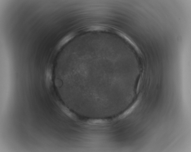 X0000114410826200910231130
