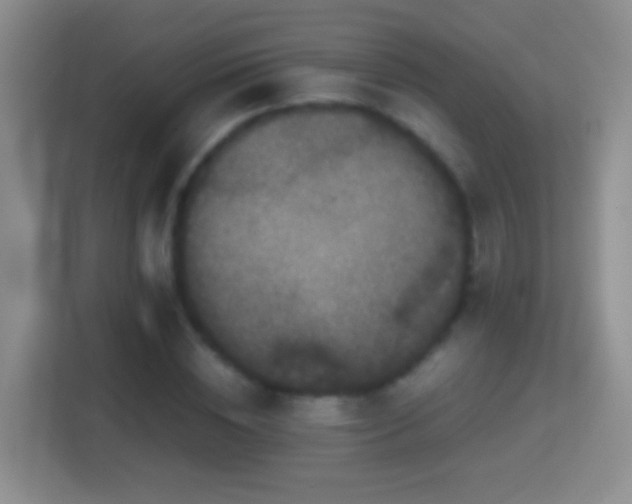 X0000114410828200910231130