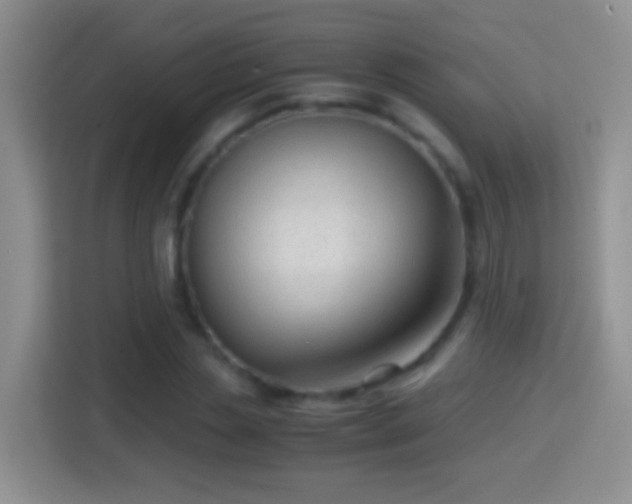 X0000114410829200910231130