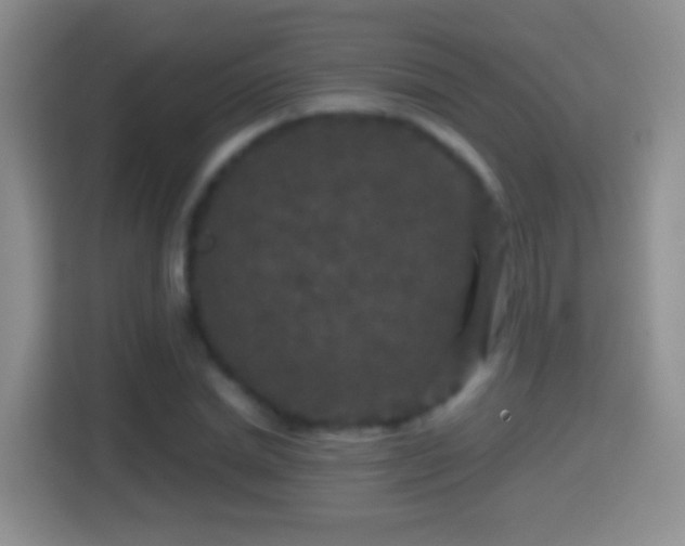 X0000114410830200910231130
