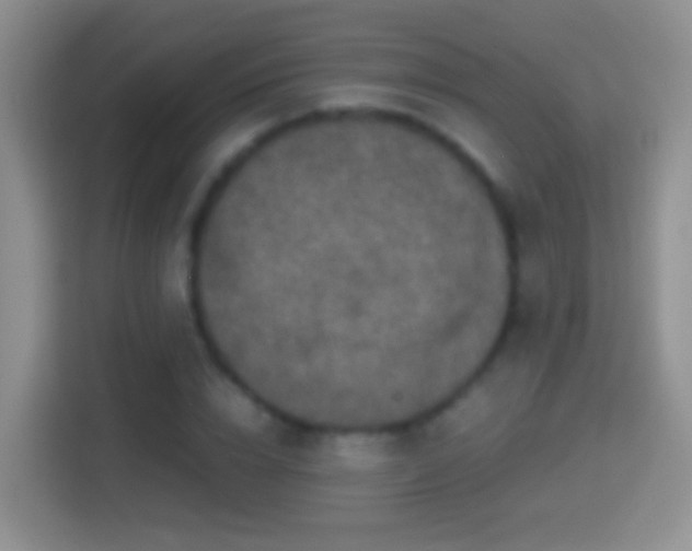 X0000114410832200910231130