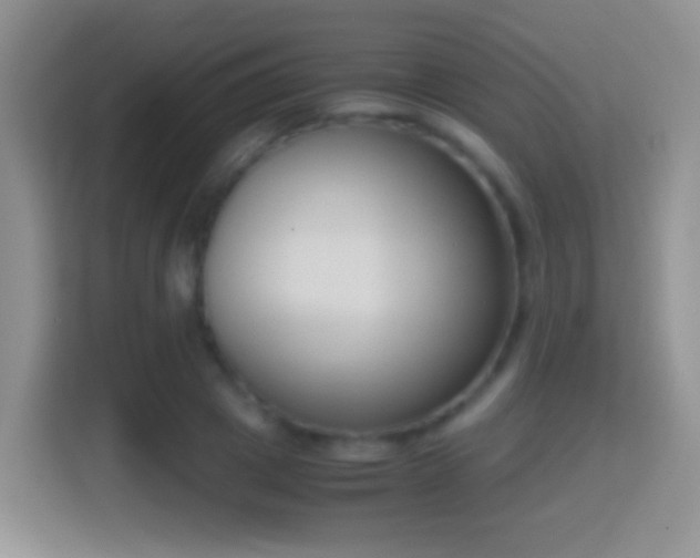 X0000114410833200910231130