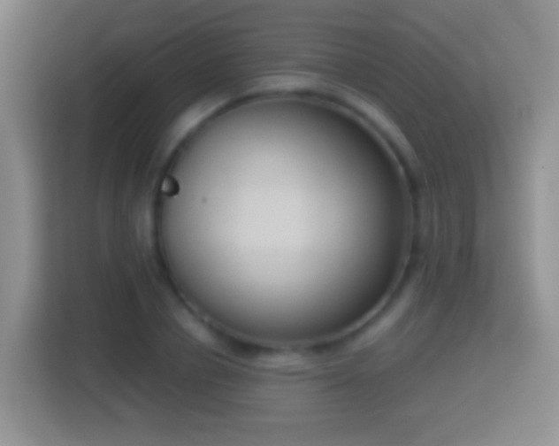 X0000114410834200910231130