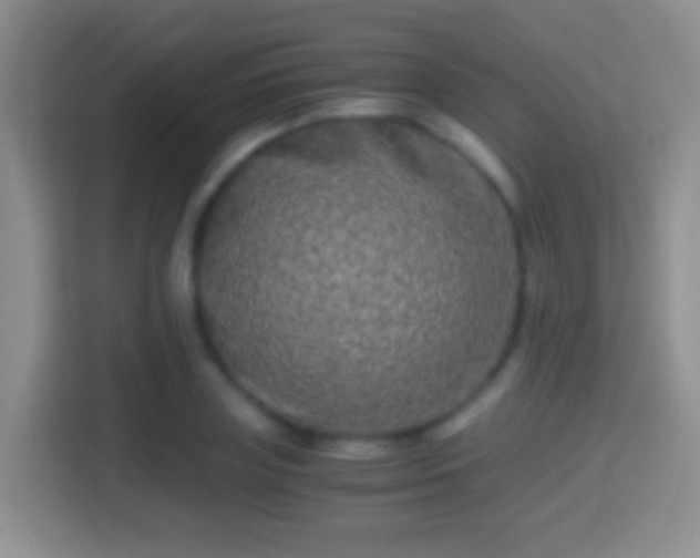 X0000114410835200910231130