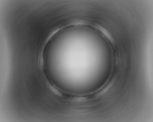 X0000114410837200910231130