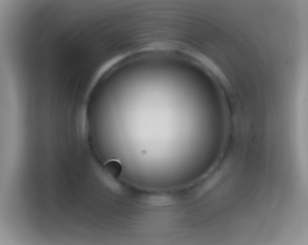 X0000114410838200910231130