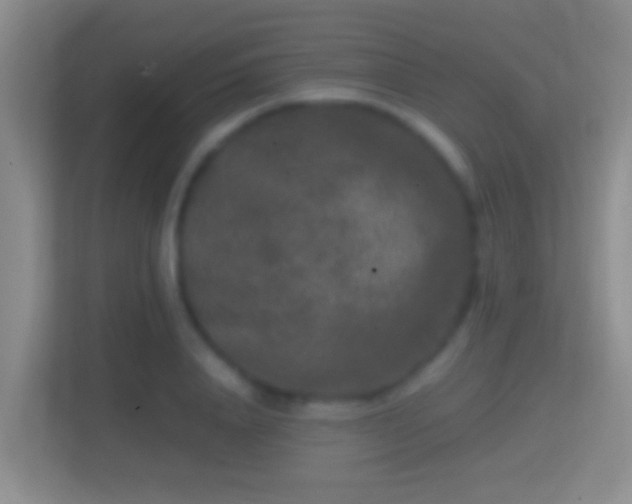 X0000114410840200910231130