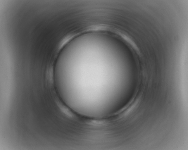 X0000114410842200910231130
