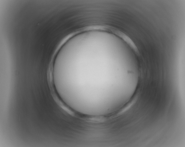 X0000114410844200910231131