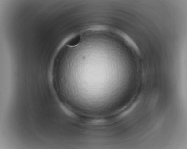 X0000114410845200910231131
