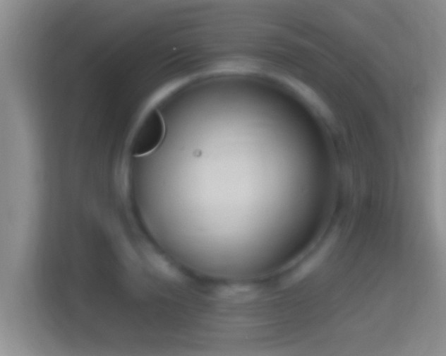 X0000114410846200910231131