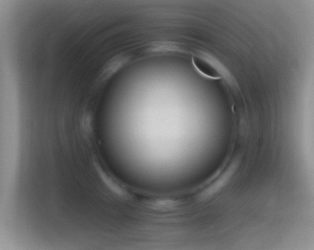 X0000114410849200910231131