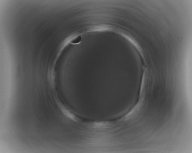 X0000114410850200910231131