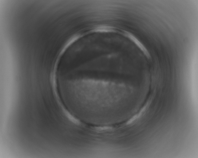 X0000114410853200910231131