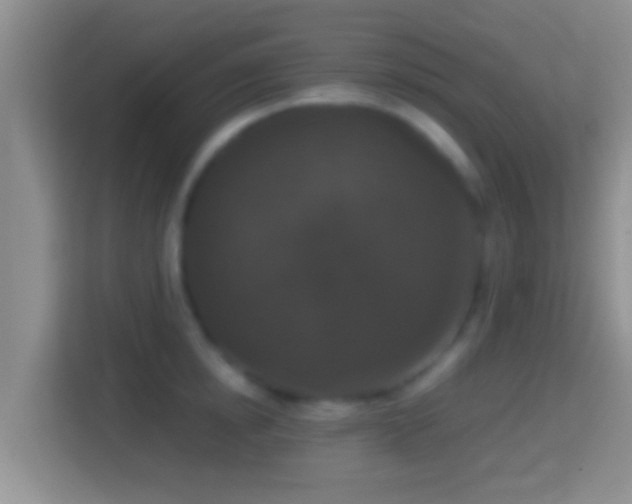X0000114410854200910231131
