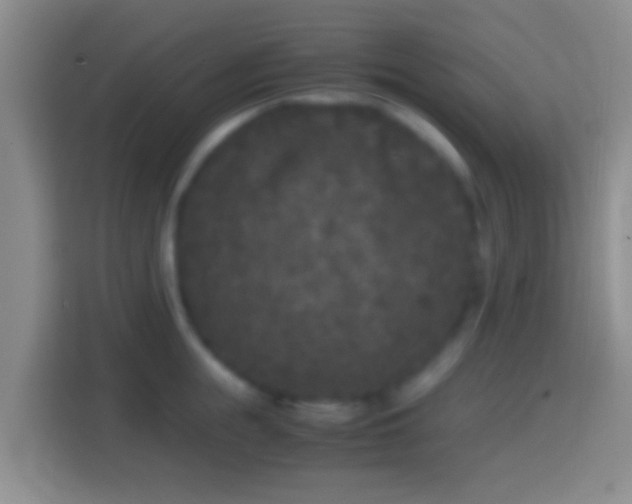 X0000114410855200910231131