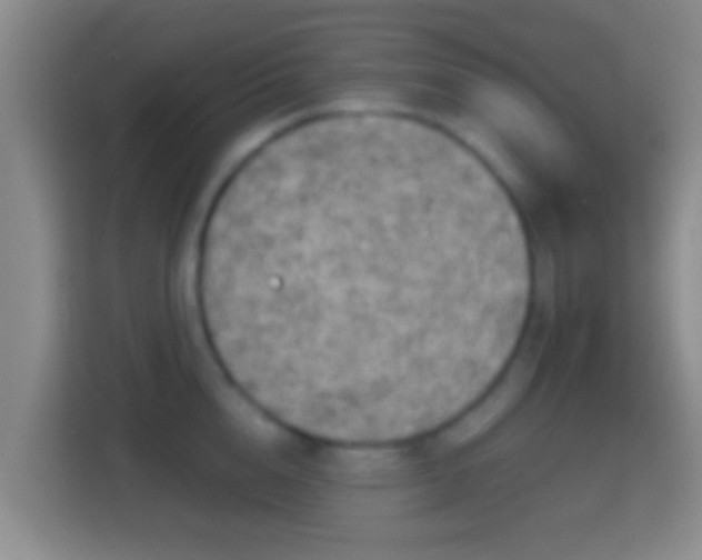 X0000114410856200910231131