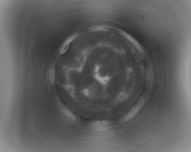 X0000114410858200910231131