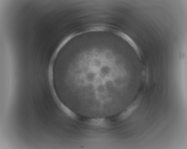 X0000114410859200910231131
