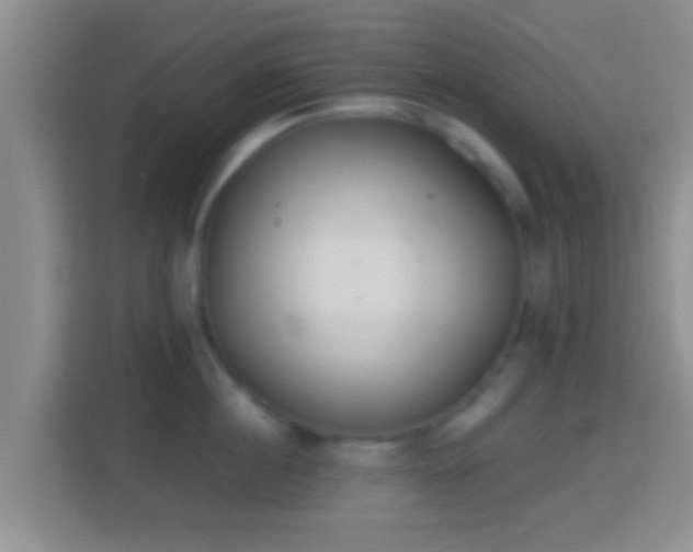 X0000114410860200910231131