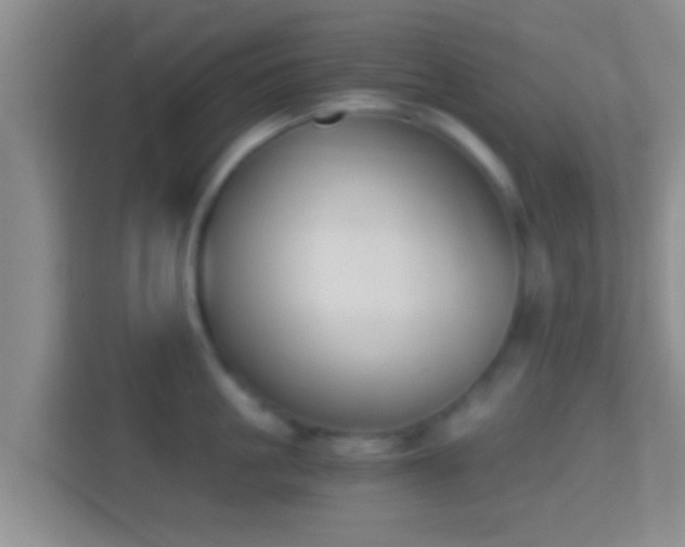 X0000114410861200910231131