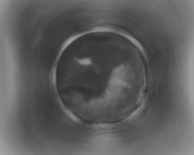 X0000114410862200910231131