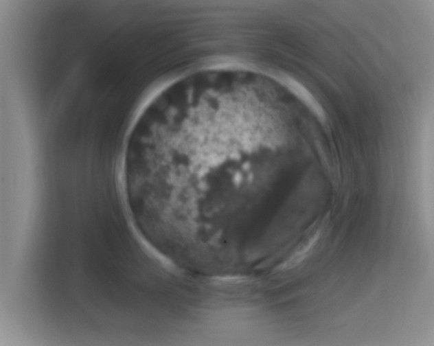 X0000114410863200910231131