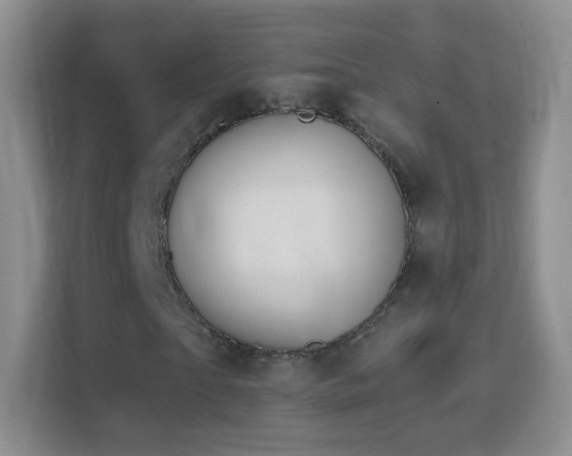 X0000114410865200910231130