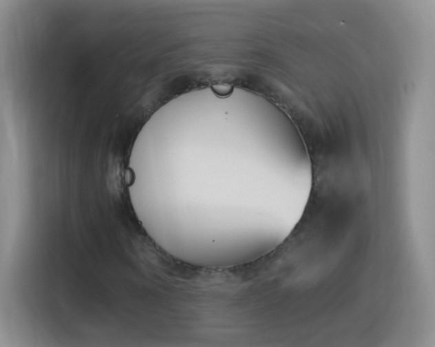 X0000114410866200910231130