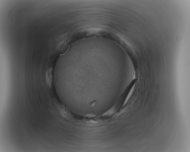 X0000114410868200910231130