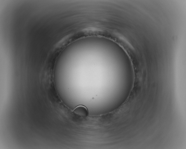 X0000114410870200910231130