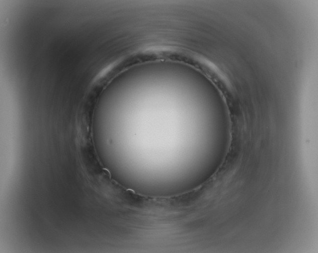 X0000114410871200910231130