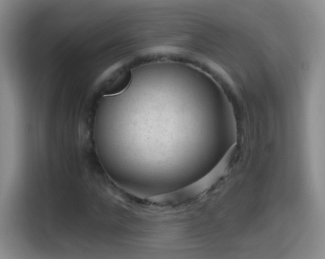 X0000114410872200910231130