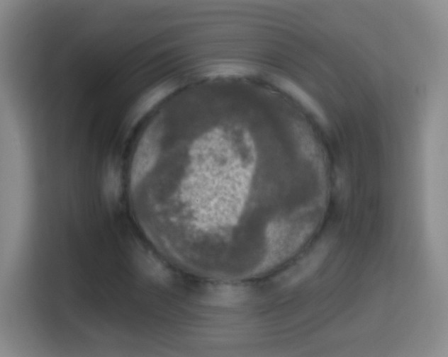X0000114410874200910231130